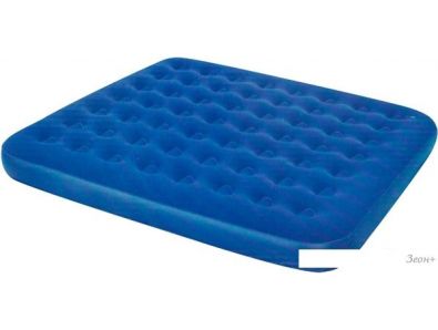   Bestway 67004