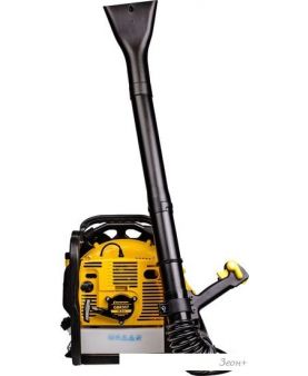  Champion GBR357