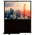 Проекционный экран CACTUS FloorCompactExpert 102x180 CS-PSFLCE-180X102