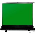 Проекционный экран CACTUS GreenFloorExpert 150х200 CS-PSGFE-200X150
