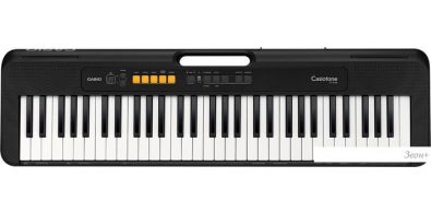 Casio CT-S100