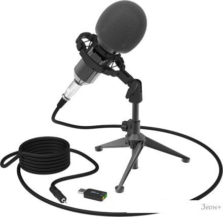 Проводной микрофон Ritmix RDM-160