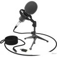   Ritmix RDM-160