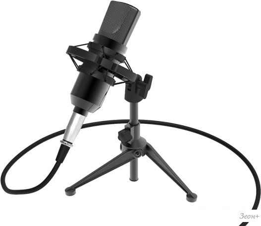 Проводной микрофон Ritmix RDM-160