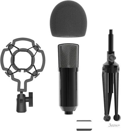 Проводной микрофон Ritmix RDM-160