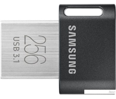 USB Flash Samsung FIT Plus 256GB ()