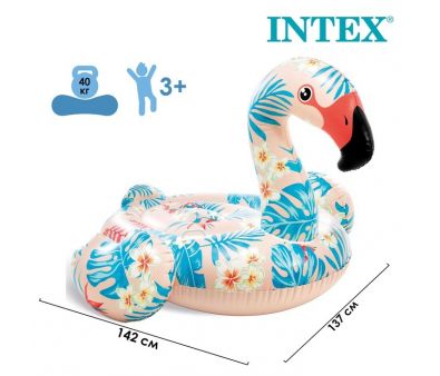  Intex   57559 (742466)