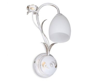 Vitaluce V1538/1A