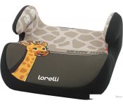   Lorelli Topo Comfort 2020 (   , )