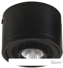   Favourite Reflector 1779-1C