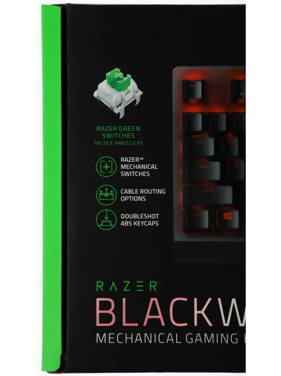 Клавиатура Razer BlackWidow V3 Tenkeyless Green Switch