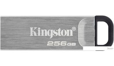 USB Flash Kingston Kyson 256GB [DTKN/256GB]