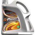 Моторное масло G-Energy G-Profi MSI 10W-40 5л