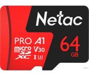   Netac P500 Extreme Pro 64GB NT02P500PRO-064G-S