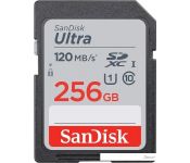   SanDisk Ultra SDXC SDSDUN4-256G-GN6IN 256GB