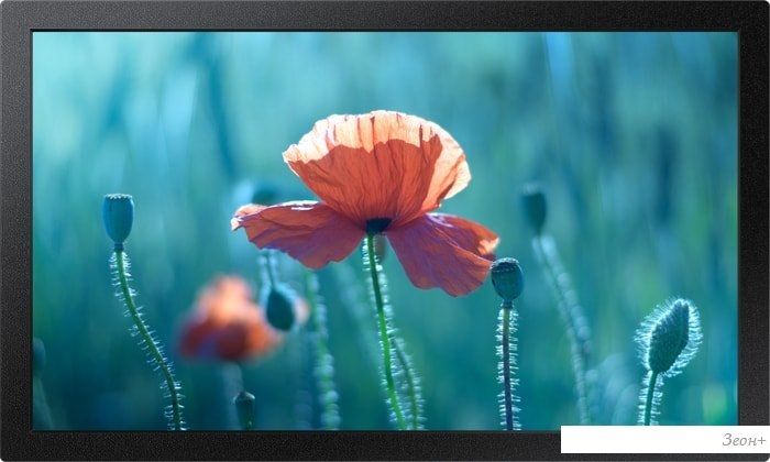 Интерактивная панель Samsung QB13R