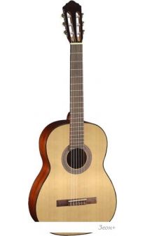   Cort AC100 SG
