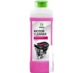Grass   Motor Cleaner 1 116100