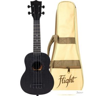  Flight NUS310 Blackbird