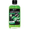 Grass   Auto Shampoo 1  111100-2