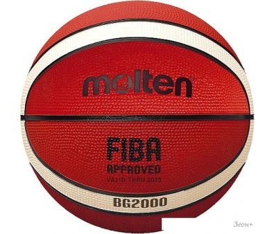  Molten B6G2000 (6 )