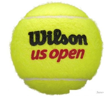  Wilson US Open WRT116200 (4 )