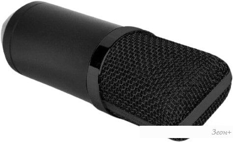 Микрофон Biema BM700