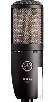  AKG P220 ()