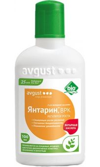 Avgust  100 