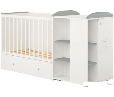 - Polini Kids French 800, Teddy,   (/)