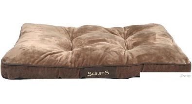  Scruffs Chester  100  ()