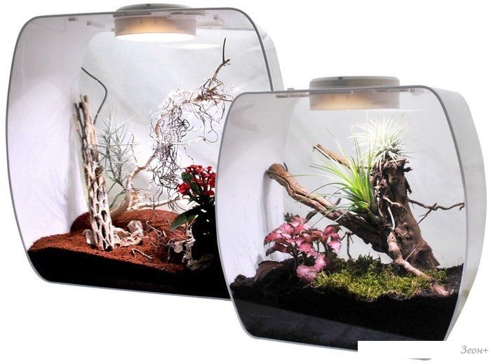 Террариум Lucky Reptile Life Box LB-35W (белый)