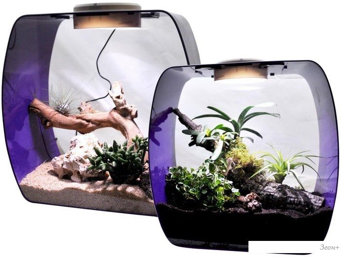 Террариум Lucky Reptile Life Box LB-35P (фиолетовый)