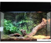  Lucky Reptile       SK50TS-B ()