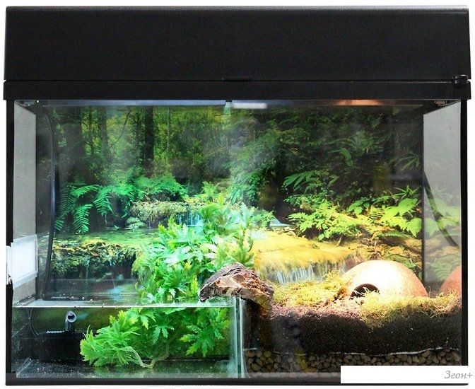 Террариум Lucky Reptile Стартовый комплект для амфибий SK50BP-B (черный)