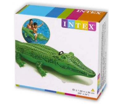   "" INTEX (. 58546)